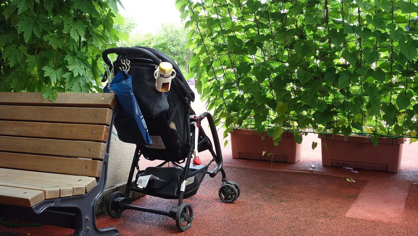 An empty pushchair parked beside a park bench under a canopy of vines.